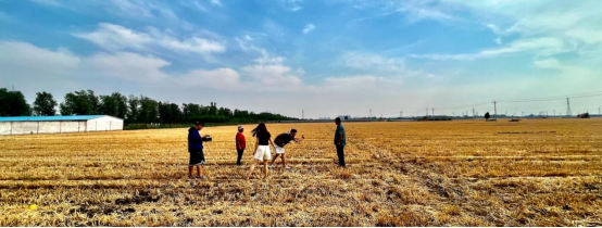 河南一種地種樹(shù)的六旬大爺 因rap收獲近兩百萬(wàn)粉絲2569