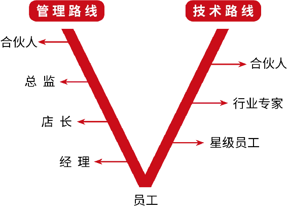 中和豫宴·新豫菜”即將亮相北龍湖，誠聘有夢想的你1121