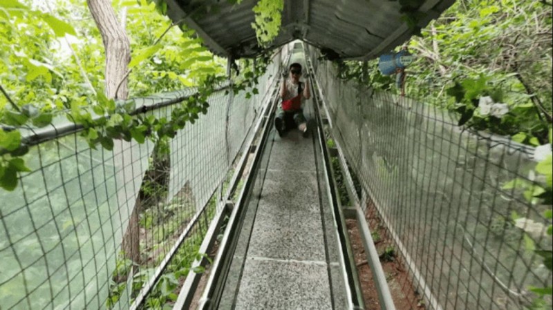 奔赴山野，向幸福出發(fā)！阿五人的度假旅游有多快樂(lè)552